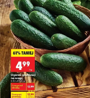 Ogórek gruntowy na wagę