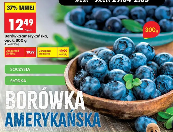 Borówka amerykańska 