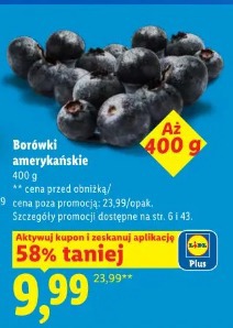 Borówki amerykańskie