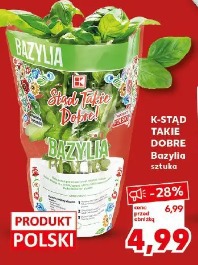K-stąd Takie Dobre Bazylia