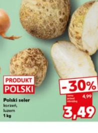 Polski seler korzeń