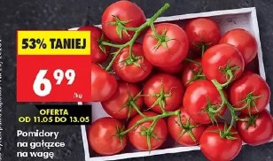 Pomidor na gałązce