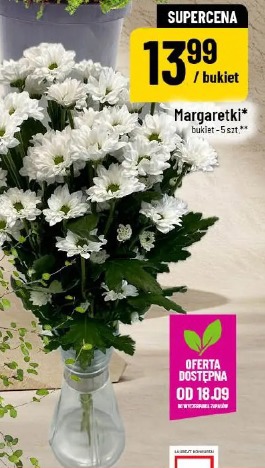 Margaretki bukiet