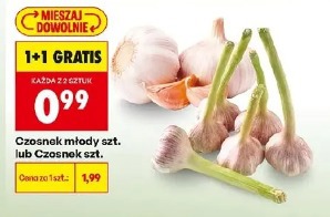 Czosnek młody szt. lub Czosnek szt.