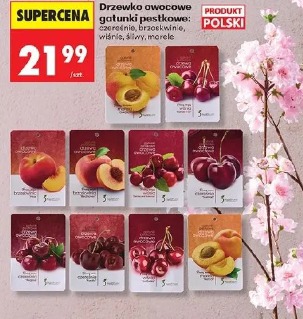 Drzewko owocowe gatunki pestkowe: czereśnia, brzoskwinia, wiśnia, śliwy, morele