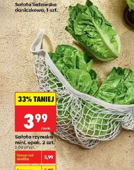 Sałata rzymska mini