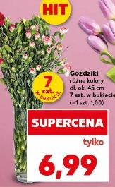Goździki