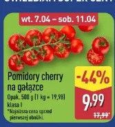 Pomidory cherry na gałązce