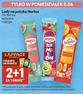 Lody na patyku Hortex