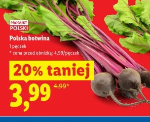 Polska botwina