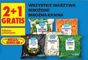 Wszystkie warzywa mrożone Mrożna Kraina