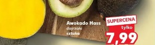 Awokado Hass dojrzałe