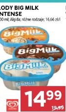 Lody Big Milk Intense