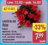 Gardenline Róże