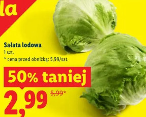 Sałata lodowa