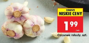 Czosnek młody, szt.