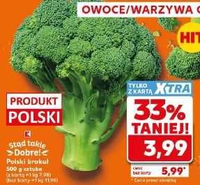 Polski brokuł