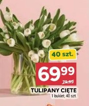 Tulipany cięte 40 szt.