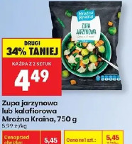 Zupa jarzynowa lub kalafiorowa Mrożna Kraina