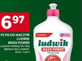 Płyn do naczyń Ludwik Maxx Power