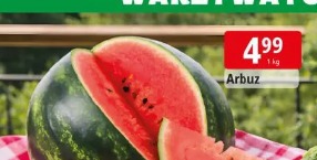 Arbuz