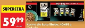 Karma dla kota Sheba