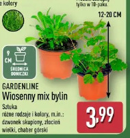 Gardenline Wiosenny mix bylin