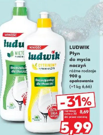 Ludwik płyn do mycia naczyń