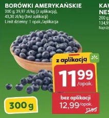 Borówki amerykańskie