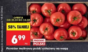 Pomidor malinowy polski