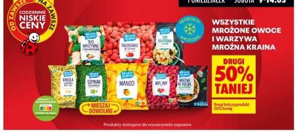 Wszystkie mrożone owoce i warzywa Mrożna Kraina