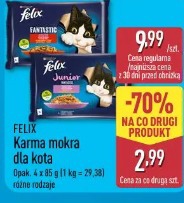 Felix Karma mokra dla kota