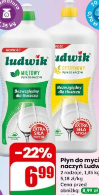 Płyn do mycia naczyń Ludwik