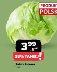 Sałata lodowa