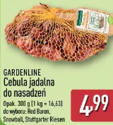 Gardenline Cebula jadalna do nasadzeń