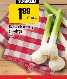 Czosnek młody z łodygą