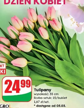 Tulipany