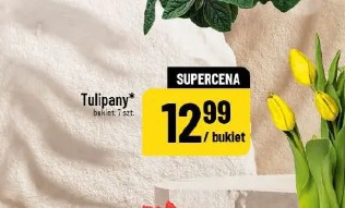 Tulipany