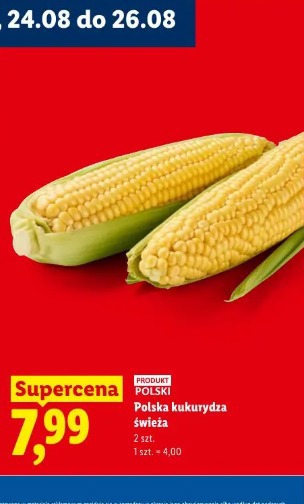 Polska kukurydza świeża