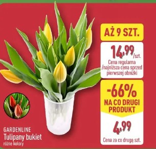 Tulipany bukiet