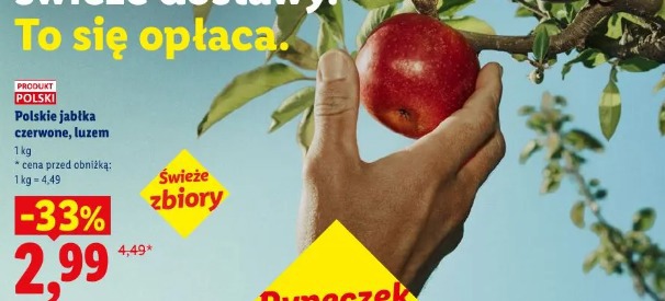Polskie jabłka czerwone