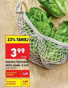 Sałata rzymska mini