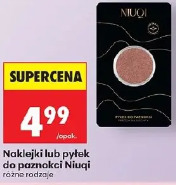 Naklejki lub pyłek do paznokci Niuqi