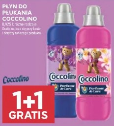Coccolino płyn do płukania