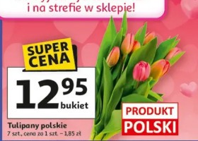 Tulipany polskie