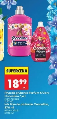 Płyn do płukania Perfum & Care Coccolino