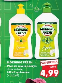 Morning Fresh Płyn do mycia naczyń