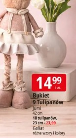 Bukiet 9 Tulipanów Jumi