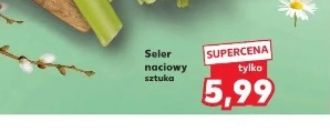 Seler naciowy sztuka