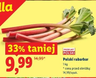 Polski rabarbar